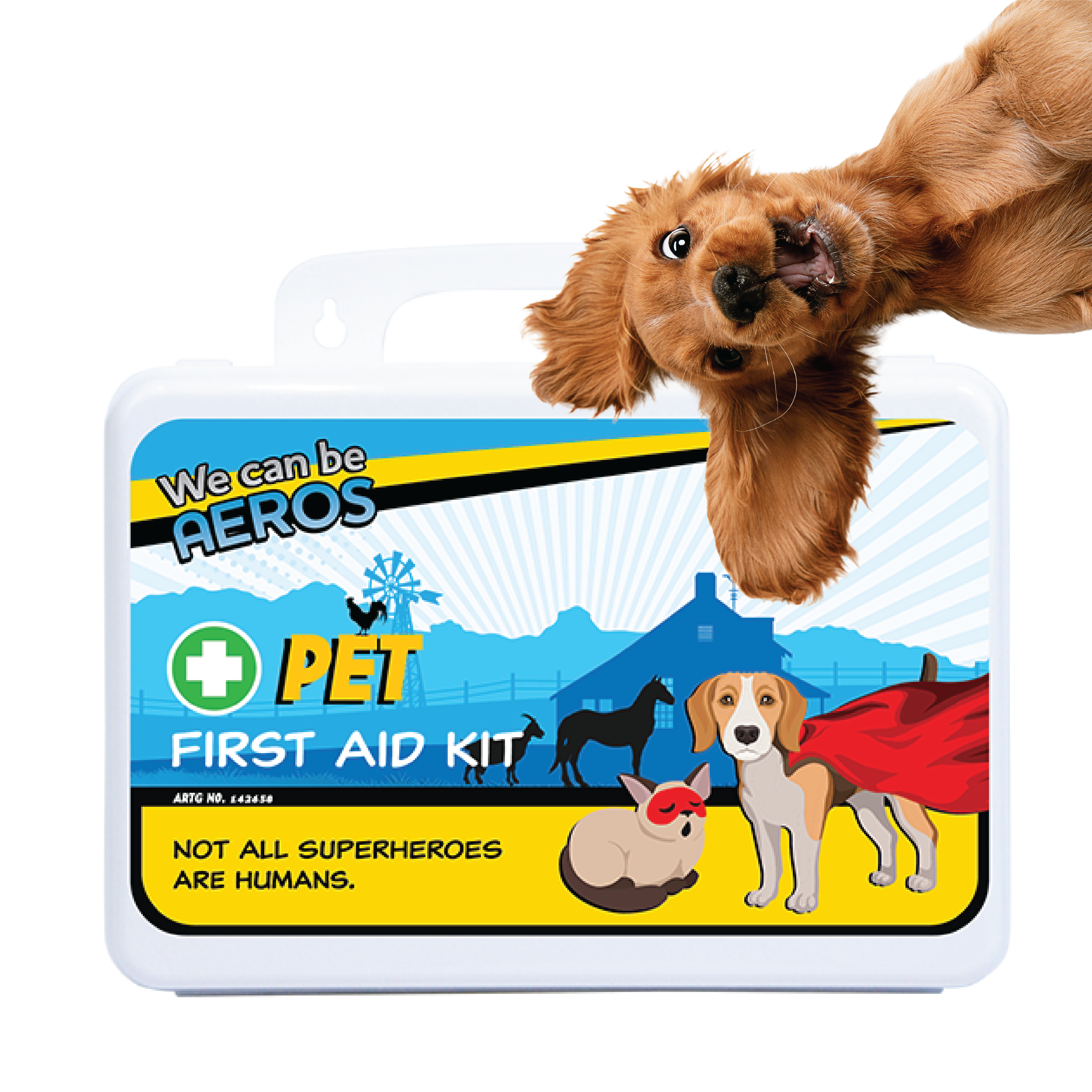 PET Plastic Waterproof First Aid Kit 21 x 7.5 x 13cm