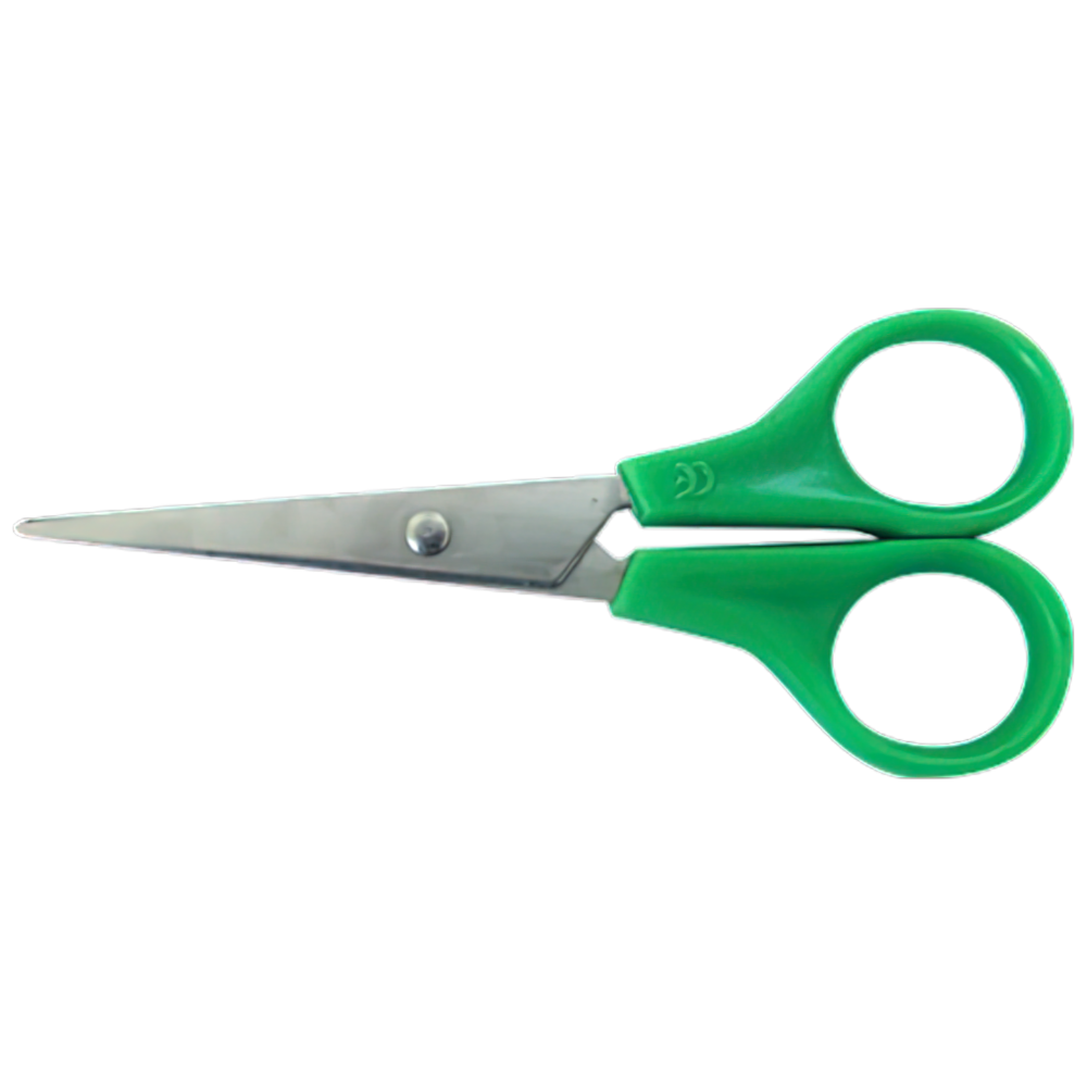 Stainless Steel Scissors with Plastic Handle (11cm )