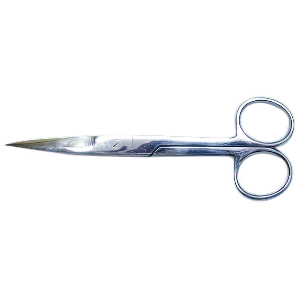 Stainless Steel Sharp Scissors (Various Sizes)